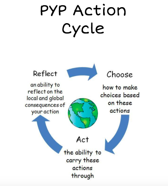 Action cycle